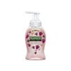 Palmolive Foam Handwash Raspberry & Blackcurrant 250 ml